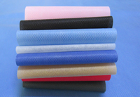 南和涤纶（PET）无纺布是什么